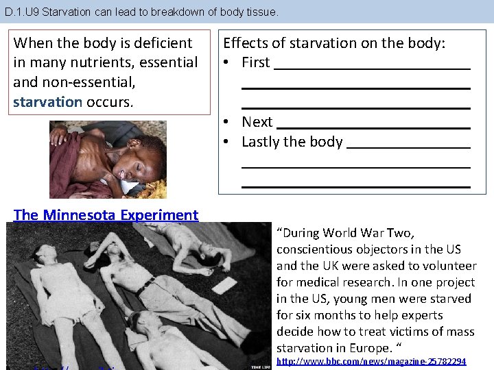 D. 1. U 9 Starvation can lead to breakdown of body tissue. When the