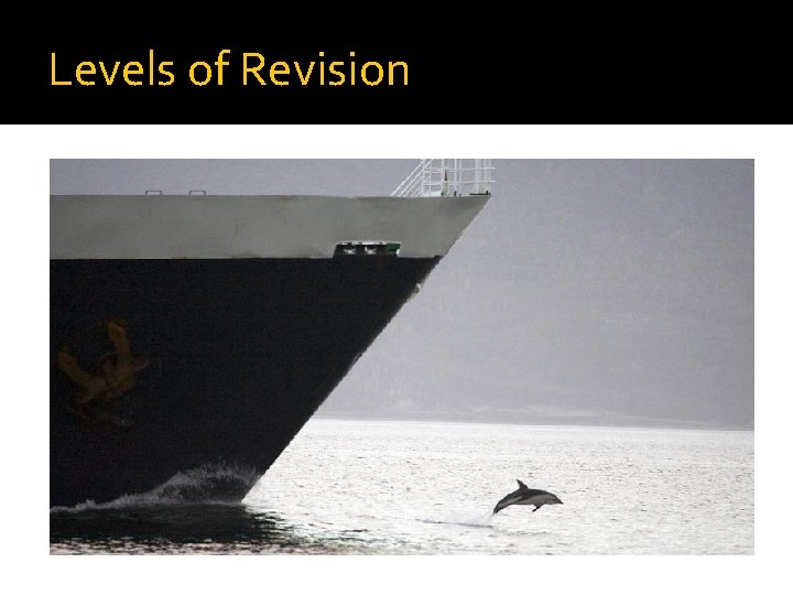 Levels of Revision 