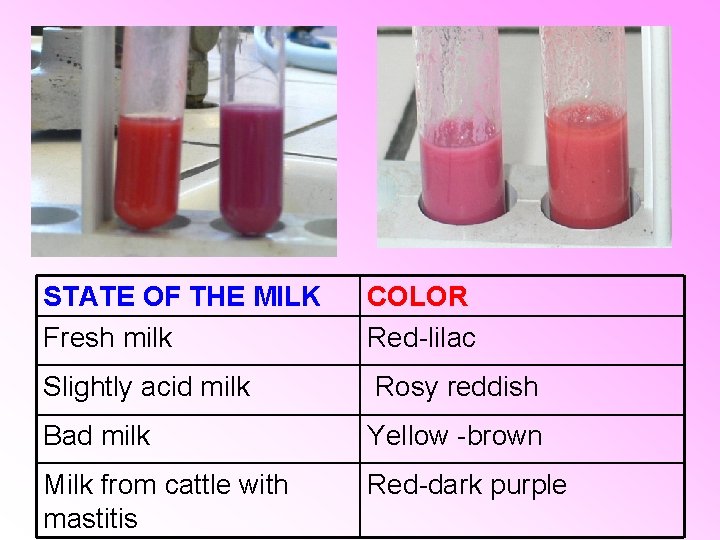 STATE OF THE MILK Fresh milk COLOR Red-lilac Slightly acid milk Rosy reddish Bad