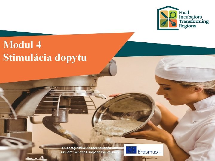 Modul 4 Stimulácia dopytu This programme has been funded with support from the European