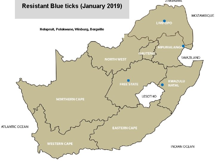 Resistant Blue ticks (January 2019) jkccff Nelspruit, Polokwane, Winburg, Bergville 