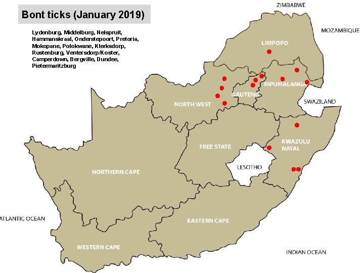 Bont ticks (January 2019) Lydenburg, Middelburg, Nelspruit, Hammanskraal, Onderstepoort, Pretoria, Mokopane, Polokwane, Klerksdorp, Rustenburg,