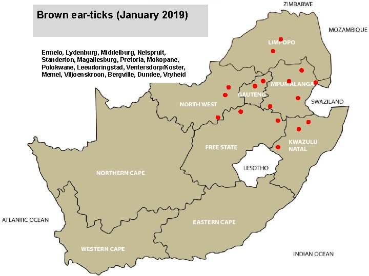 Brown ear-ticks (January 2019) jkccff Ermelo, Lydenburg, Middelburg, Nelspruit, Standerton, Magaliesburg, Pretoria, Mokopane, Polokwane,