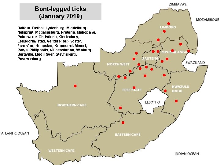 Bont-legged ticks (January 2019) Balfour, Bethal, Lydenburg, Middelburg, Nelspruit, Magaliesburg, Pretoria, Mokopane, Polokwane, Christiana,