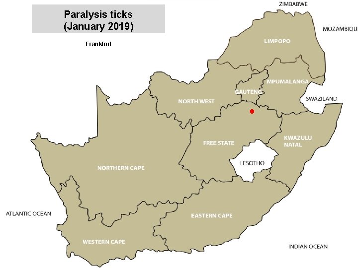 Paralysis ticks (January 2019) Frankfort jkccff 