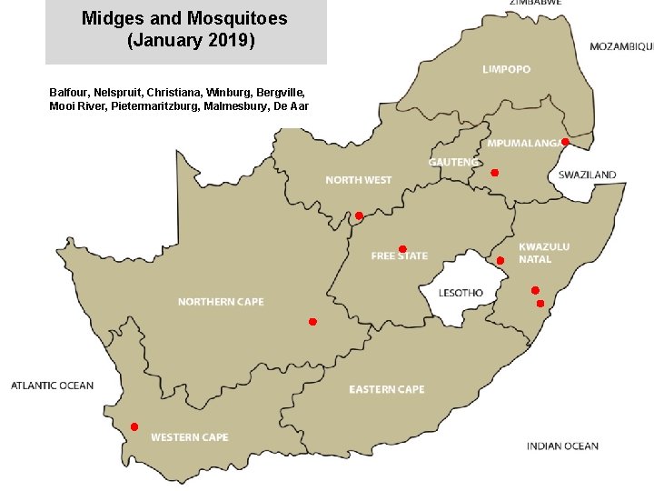 Midges and Mosquitoes (January 2019) jkccff Balfour, Nelspruit, Christiana, Winburg, Bergville, Mooi River, Pietermaritzburg,