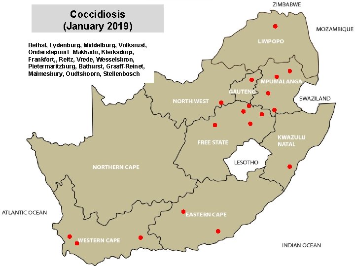 Coccidiosis (January 2019) Bethal, Lydenburg, Middelburg, Volksrust, Onderstepoort Makhado, Klerksdorp, Frankfort, , Reitz, Vrede,