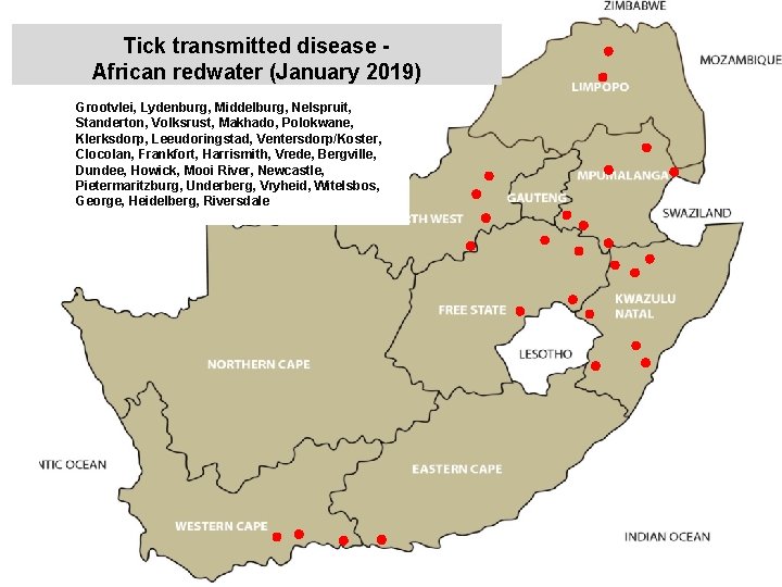 Tick transmitted disease African redwater (January 2019) Grootvlei, Lydenburg, Middelburg, Nelspruit, Standerton, Volksrust, Makhado,