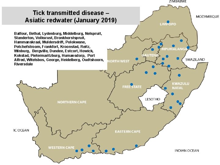 Tick transmitted disease – Asiatic redwater (January 2019) Balfour, Bethal, Lydenburg, Middelburg, Nelspruit, Standerton,