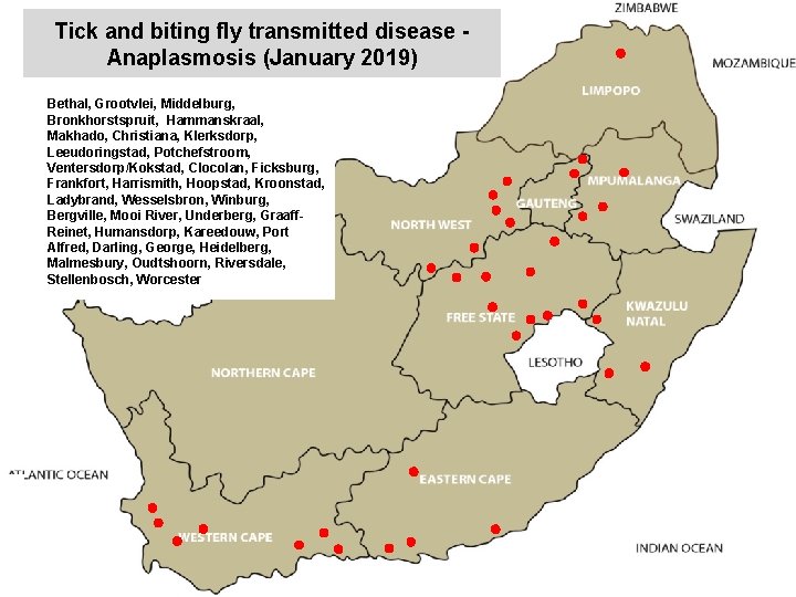 Tick and biting fly transmitted disease Anaplasmosis (January 2019) Bethal, Grootvlei, Middelburg, Bronkhorstspruit, Hammanskraal,