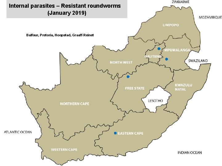 Internal parasites – Resistant roundworms (January 2019) jkccff Balfour, Pretoria, Hoopstad, Graaff-Reinet x 