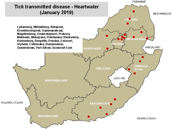 Tick transmitted disease - Heartwater (January 2019) Lydenburg, Middelburg, Nelspruit, Bronkhorstspruit, Hammanskraal, Magaliesburg, Onderstepoort,