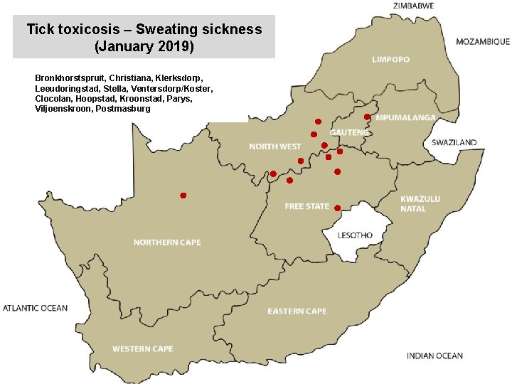 Tick toxicosis – Sweating sickness (January 2019) Bronkhorstspruit, Christiana, Klerksdorp, Leeudoringstad, Stella, Ventersdorp/Koster, Clocolan,