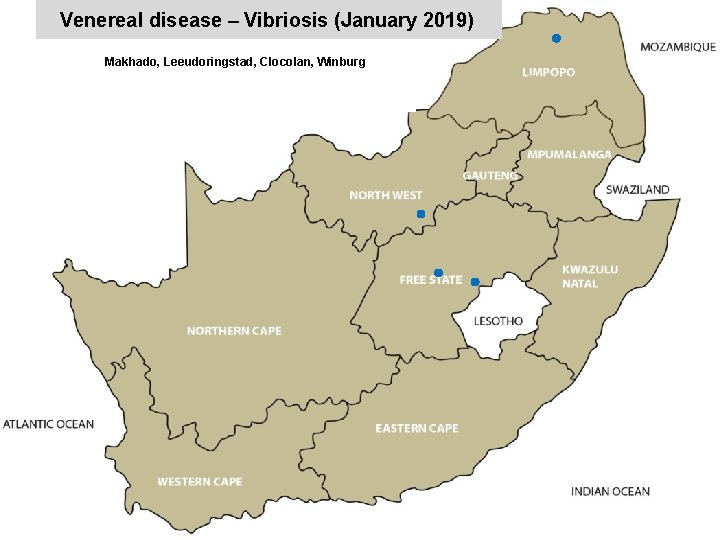 Venereal disease – Vibriosis (January 2019) Makhado, Leeudoringstad, Clocolan, Winburg x 