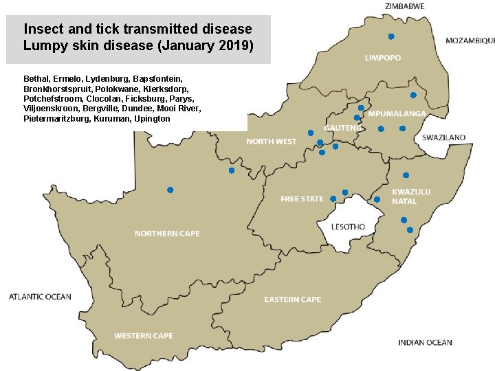 Insect and tick transmitted disease Lumpy skin disease (January 2019) kjkjnmn Bethal, Ermelo, Lydenburg,