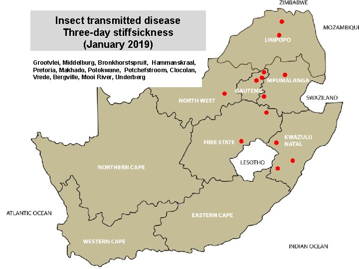 Insect transmitted disease Three-day stiffsickness (January 2019) kjkjnmn Grootvlei, Middelburg, Bronkhorstspruit, Hammanskraal, Pretoria, Makhado,