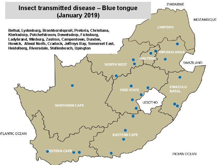 Insect transmitted disease – Blue tongue (January 2019) kjkjnmn Bethal, Lydenburg, Bronkhorstspruit, Pretoria, Christiana,