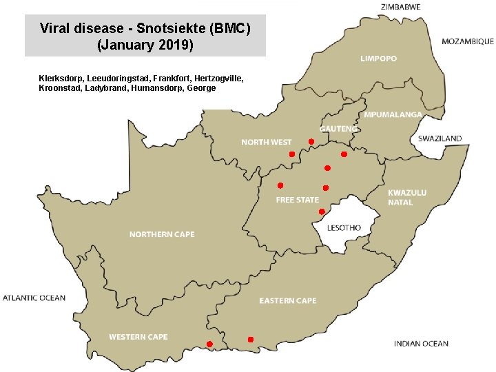 Viral disease - Snotsiekte (BMC) (January 2019) kjkjnmn Klerksdorp, Leeudoringstad, Frankfort, Hertzogville, Kroonstad, Ladybrand,