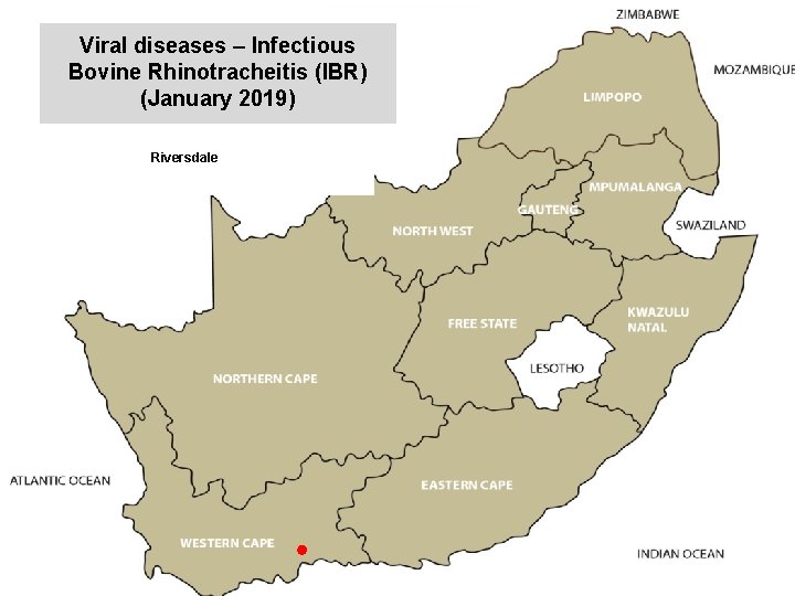 Viral diseases – Infectious Bovine Rhinotracheitis (IBR) (January 2019) kjkjnmn Riversdale 