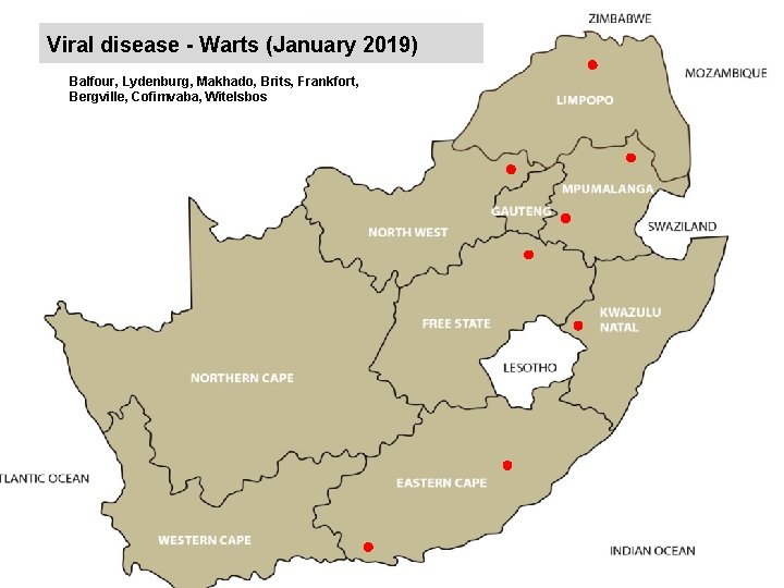 Viral disease - Warts (January 2019) kjkjnmn Balfour, Lydenburg, Makhado, Brits, Frankfort, Bergville, Cofimvaba,