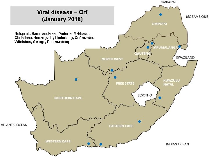 Viral disease – Orf (January 2018) kjkjnmn Nelspruit, Hammanskraal, Pretoria, Makhado, Christiana, Hertzogville, Underberg,