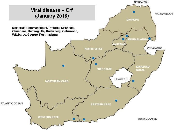 Viral disease – Orf (January 2018) kjkjnmn Nelspruit, Hammanskraal, Pretoria, Makhado, Christiana, Hertzogville, Underberg, Viral disease – Orf (January 2018) kjkjnmn Nelspruit, Hammanskraal, Pretoria, Makhado, Christiana, Hertzogville, Underberg,