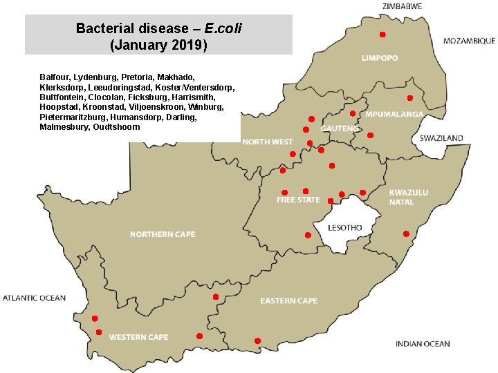 Bacterial disease – E. coli (January 2019) kjkjnmn Balfour, Lydenburg, Pretoria, Makhado, Klerksdorp, Leeudoringstad,