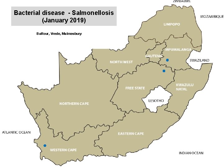 Bacterial disease - Salmonellosis (January 2019) kjkjnmn Balfour, Vrede, Malmesbury 