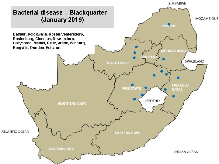 Bacterial disease – Blackquarter (January 2019) kjkjnmn Balfour, Polokwane, Koster/Ventersdorp, Rustenburg, Clocolan, Dewetsdorp, Ladybrand,