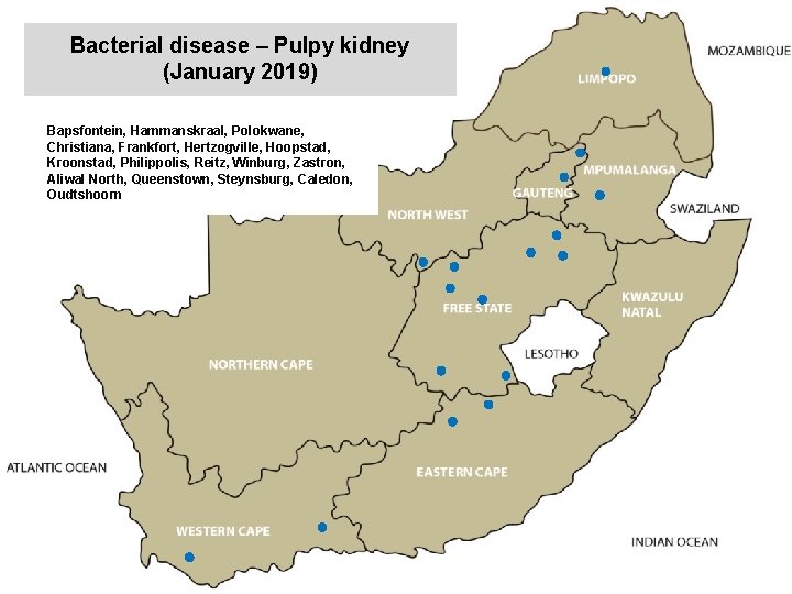 Bacterial disease – Pulpy kidney (January 2019) kjkjnmn Bapsfontein, Hammanskraal, Polokwane, Christiana, Frankfort, Hertzogville,
