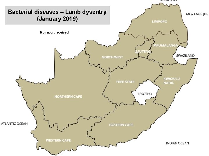 Bacterial diseases – Lamb dysentry (January 2019) kjkjnmn No report received 