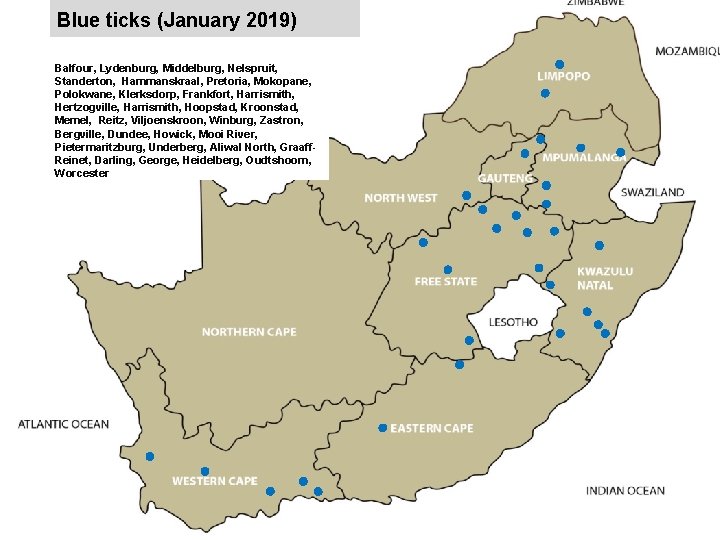 Blue ticks (January 2019) jkccff Balfour, Lydenburg, Middelburg, Nelspruit, Standerton, Hammanskraal, Pretoria, Mokopane, Polokwane,