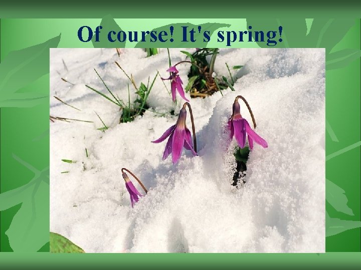 Of course! It's spring! 