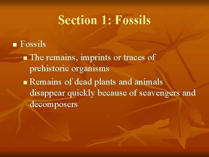 Section 1: Fossils n The remains, imprints or traces of prehistoric organisms n Remains