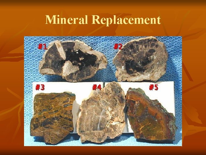 Mineral Replacement 