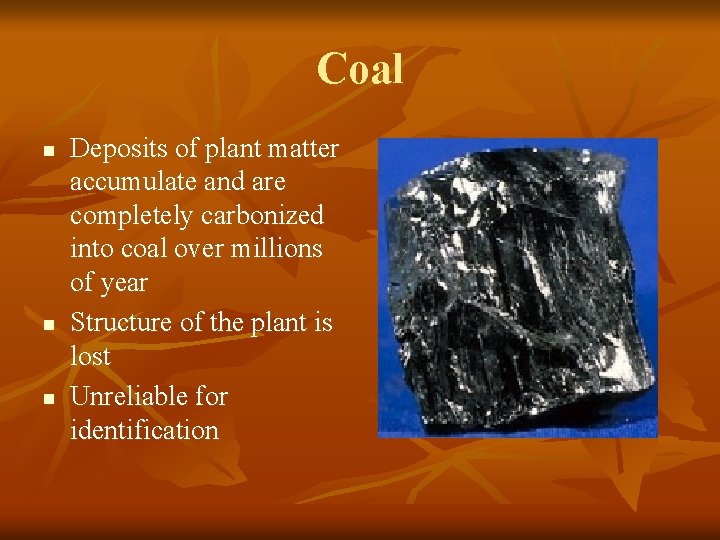 Coal n n n Deposits of plant matter accumulate and are completely carbonized into