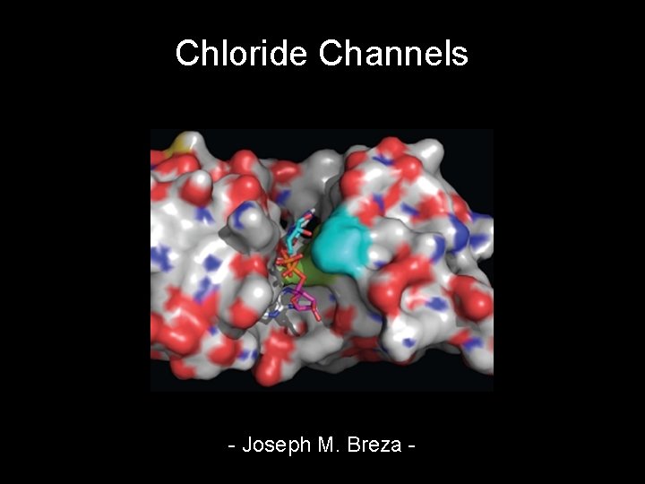 Chloride Channels - Joseph M. Breza - 