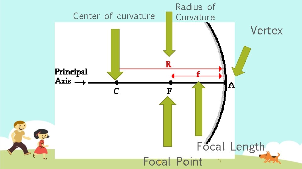 Center of curvature Radius of Curvature Vertex Focal Length Focal Point 