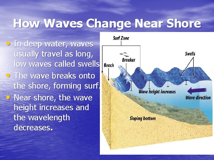 How Waves Change Near Shore • In deep water, waves • • usually travel