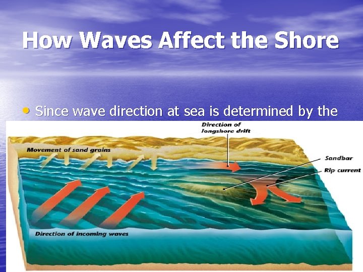 How Waves Affect the Shore • Since wave direction at sea is determined by