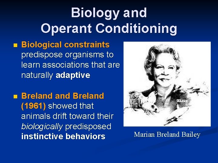 Biology and Operant Conditioning n Biological constraints predispose organisms to learn associations that are