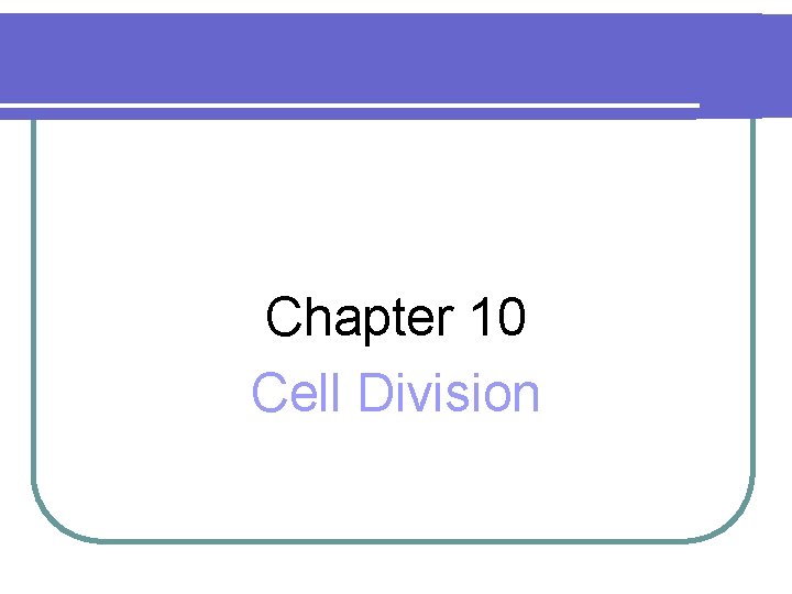 Chapter 10 Cell Division 