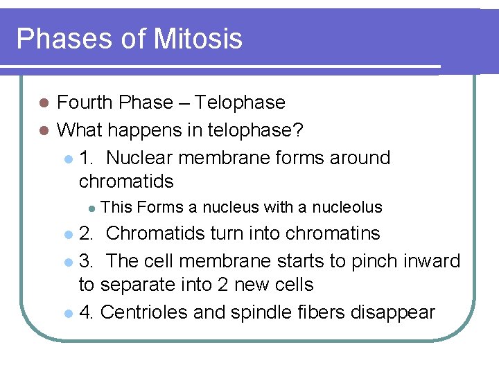 Phases of Mitosis Fourth Phase – Telophase l What happens in telophase? l 1.