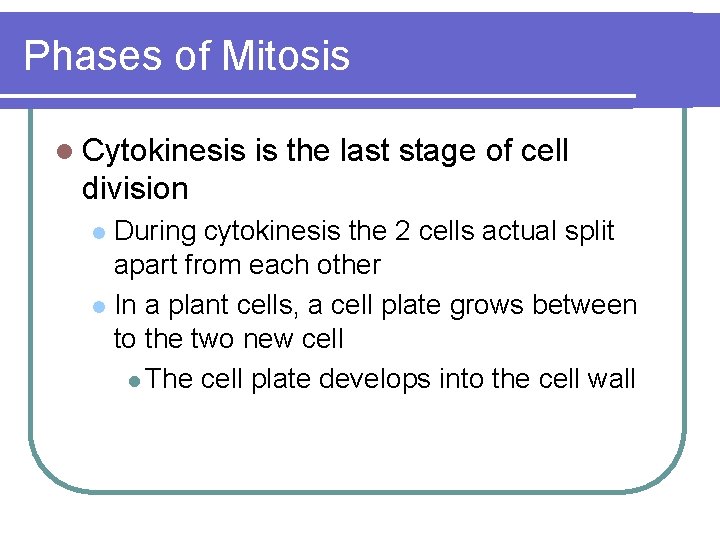 Phases of Mitosis l Cytokinesis is the last stage of cell division During cytokinesis