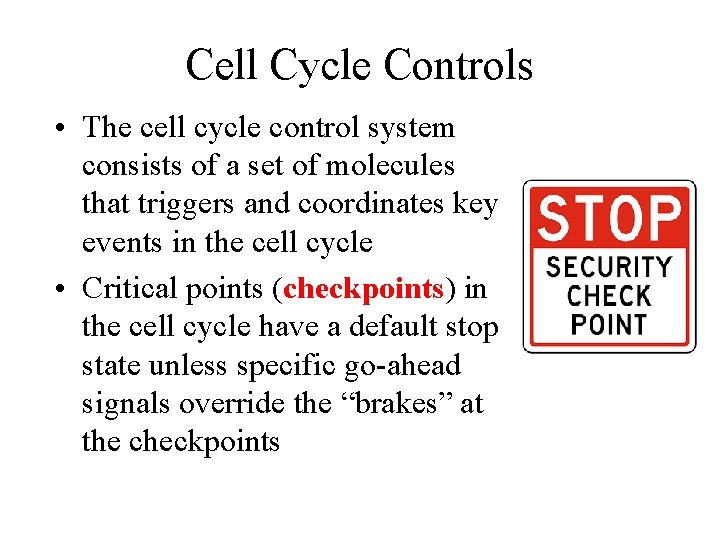 Cell Cycle Controls • The cell cycle control system consists of a set of