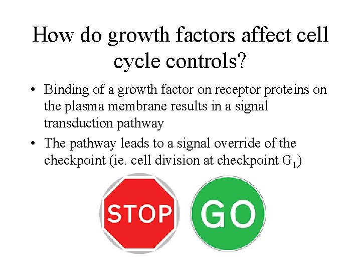 How do growth factors affect cell cycle controls? • Binding of a growth factor