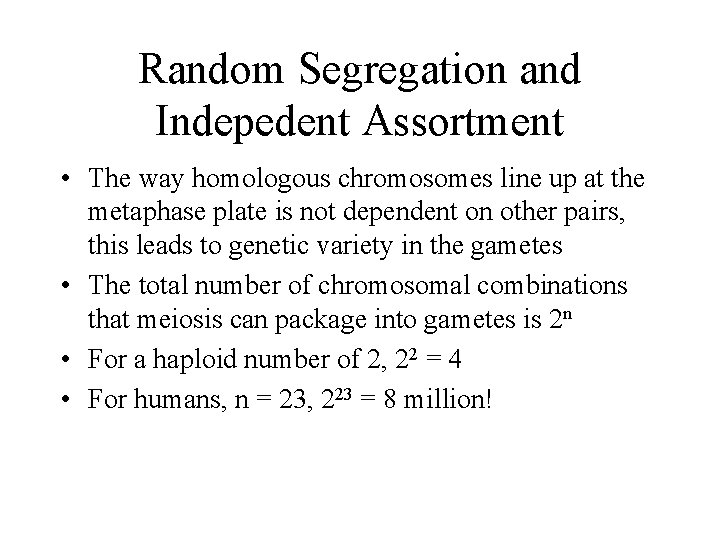 Random Segregation and Indepedent Assortment • The way homologous chromosomes line up at the