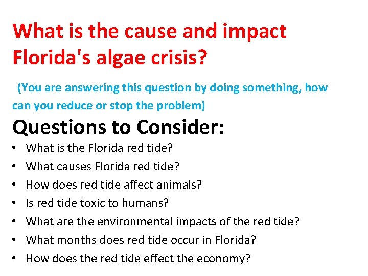 What is the cause and impact Florida's algae crisis? (You are answering this question What is the cause and impact Florida's algae crisis? (You are answering this question