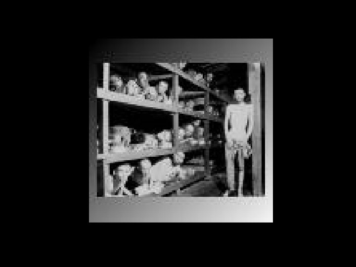 Alejandro L. Ortiz-Velez Alejandro L. Ortiz-Velez