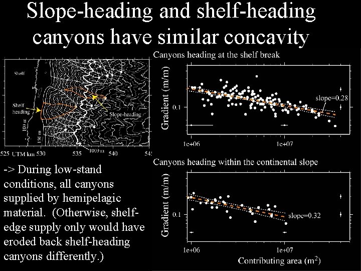 Slope-heading and shelf-heading canyons have similar concavity -> During low-stand conditions, all canyons supplied